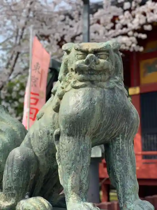 浅草神社の狛犬