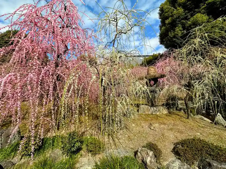 城南宮(京都府)