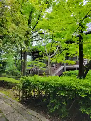 龍泉寺(愛知県)