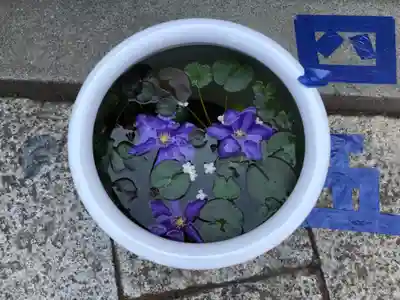 徳島眉山天神社の手水舎