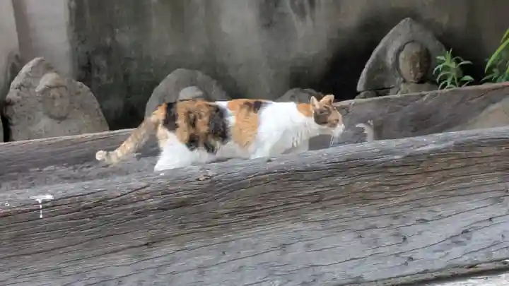 行願寺(革堂)(京都府)