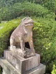 冨士浅間神社の狛犬
