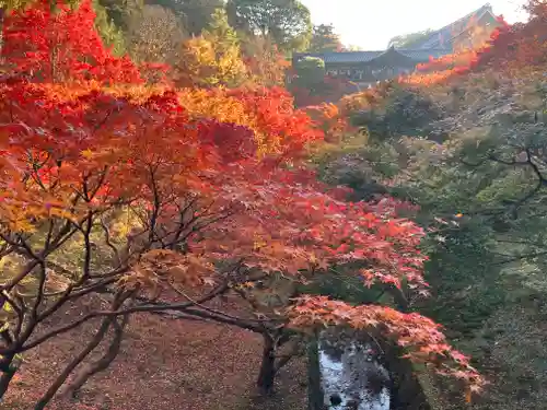 東福禅寺（東福寺）(京都府)