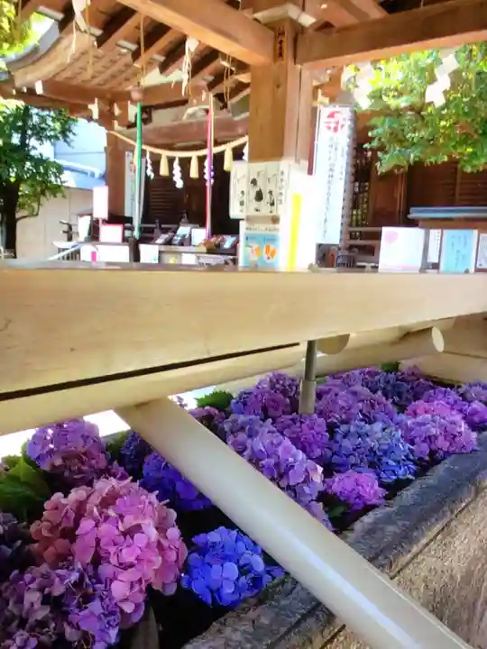 鳩森八幡神社の手水舎