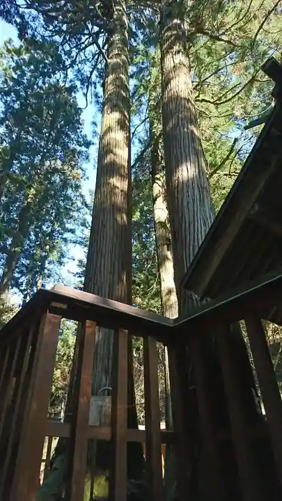黄金山神社の自然