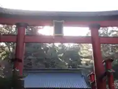 北口本宮冨士浅間神社の鳥居