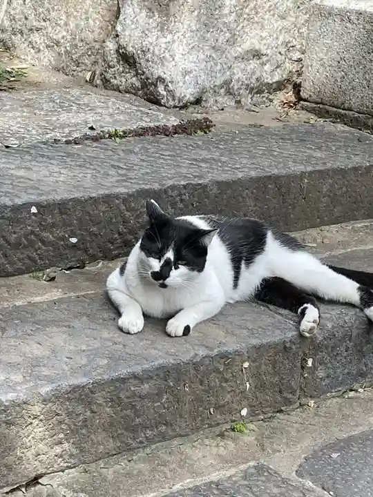 大綱金刀比羅神社(神奈川県)