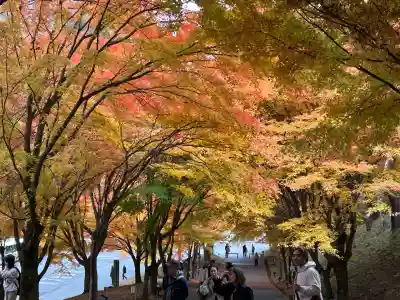山神社(長野県)