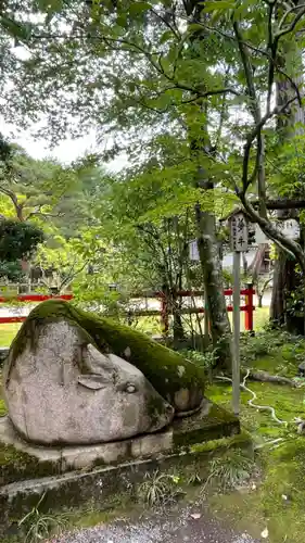 金澤神社の狛犬