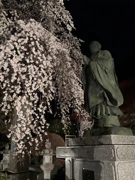妙道寺(栃木県)