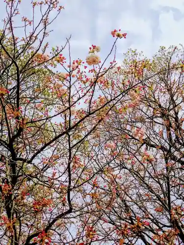 厚別神社(北海道)