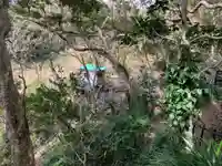 愛宕権現様(千葉県)