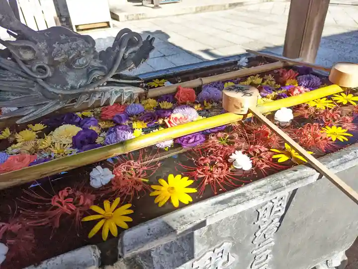 柳谷観音 楊谷寺(京都府)