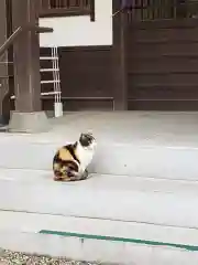 猿田彦神社の動物