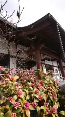 大泉寺の自然