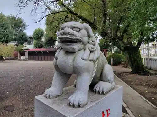 本町南町八幡神社の狛犬