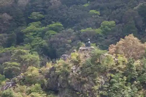 太龍寺(徳島県)