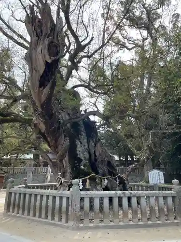 大山祇神社(愛媛県)