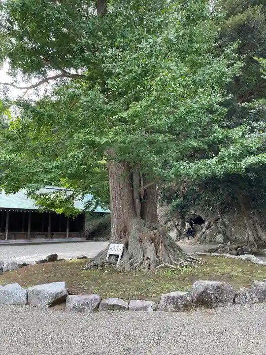 安房神社(千葉県)