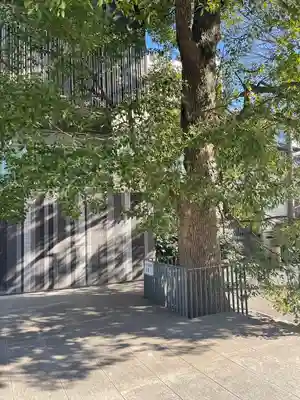 赤城神社(東京都)