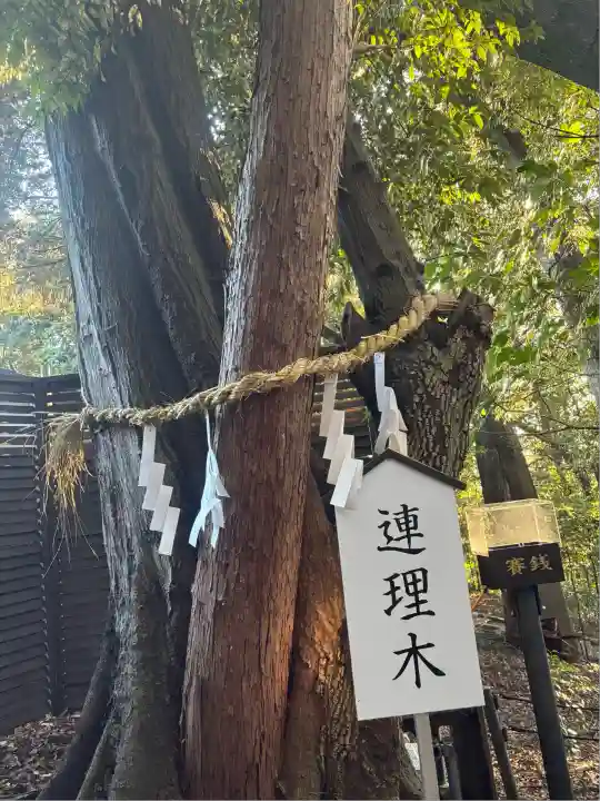 白山神社(愛知県)