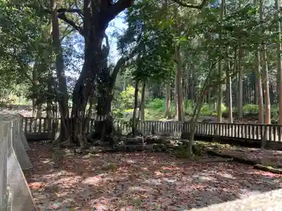 山宮浅間神社(静岡県)
