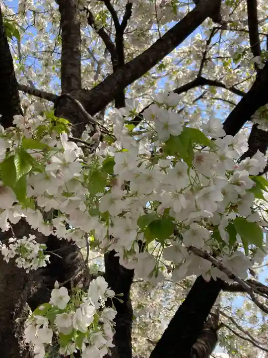 池上本門寺(東京都)