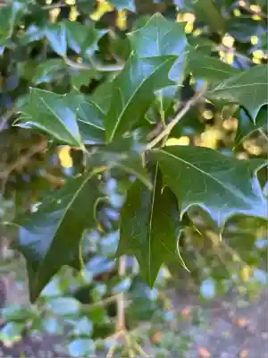 高木神社(福島県)