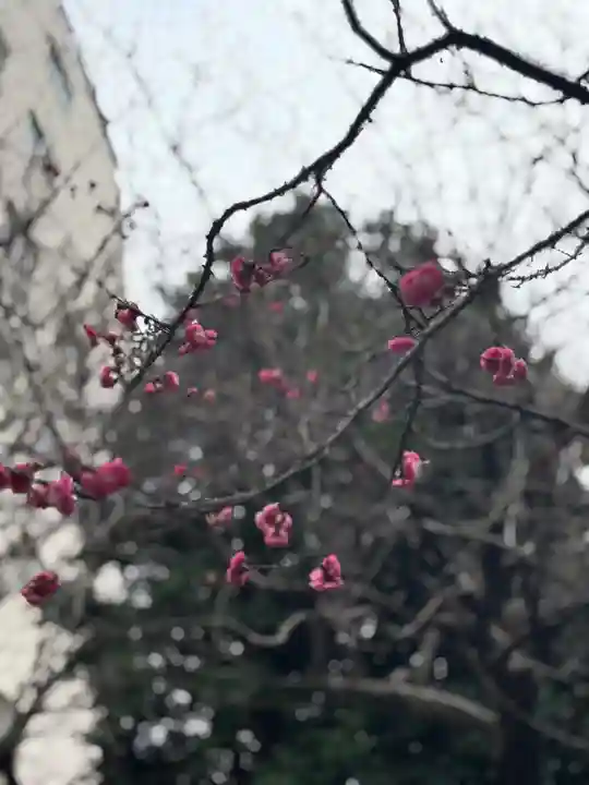 牛天神北野神社(東京都)