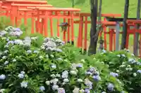 高屋敷稲荷神社の鳥居