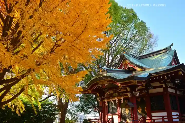 小金八坂神社(千葉県)