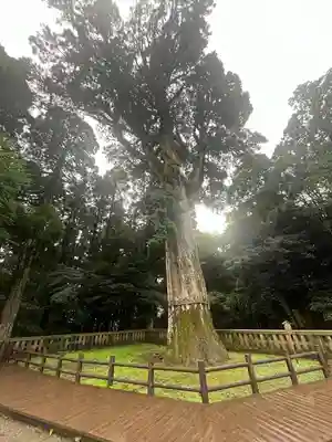 霧島神宮(鹿児島県)