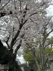 浅間神社の自然