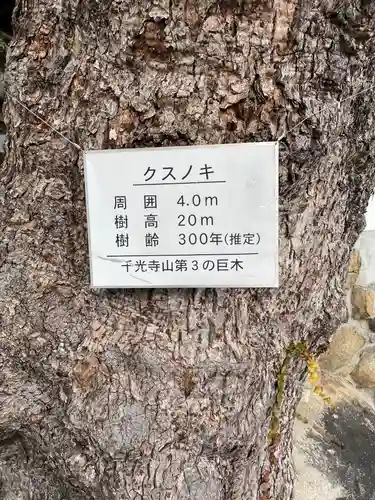 千光寺のその他建物