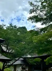 蚊里田八幡宮(長野県)(2024年07月30日(火) 14時29分41秒投稿)