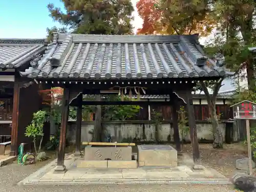 春日神社(奈良県)