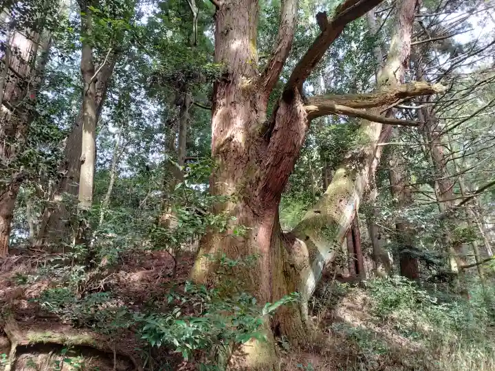 首塚大明神の{uncategorized: "未分類", other: "その他", undefined: "問題あり", building: "その他建物", grave: "お墓", sacred_gate: "鳥居", guardian: "狛犬", statue: "像", buddha: "仏像", history: "歴史", nature: "自然", garden: "庭園", animal: "動物", pagoda: "塔", temizu: "手水舎", mountain_gate: "山門・神門", sanctuary: "本殿・本堂", subordinate: "末社・摂社", art: "芸術", scenery: "景色", jizo: "地蔵", ema: "絵馬", goshuin: "御朱印", omikuji: "おみくじ", items: "授与品その他", amulet: "お守り", goshuincho: "御朱印帳", eats: "食事", festival: "お祭り", votive_dance: "神楽", shichigosan: "七五三参", wedding: "結婚式", experience: "体験その他", initially: "初詣", around: "周辺", anti_infection: "感染症対策"}