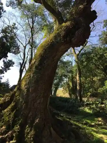 奈良豆比古神社の自然