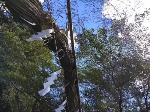 天鷹神社の自然