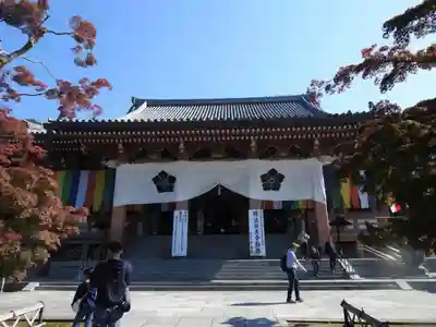 智積院の本殿・本堂