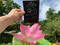 普門寺(切り絵御朱印発祥の寺)(愛知県)