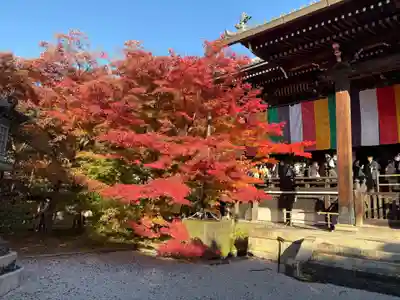 禅林寺(永観堂)(京都府)