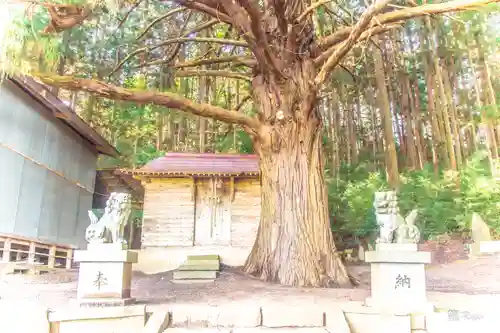 水神社(宮城県)