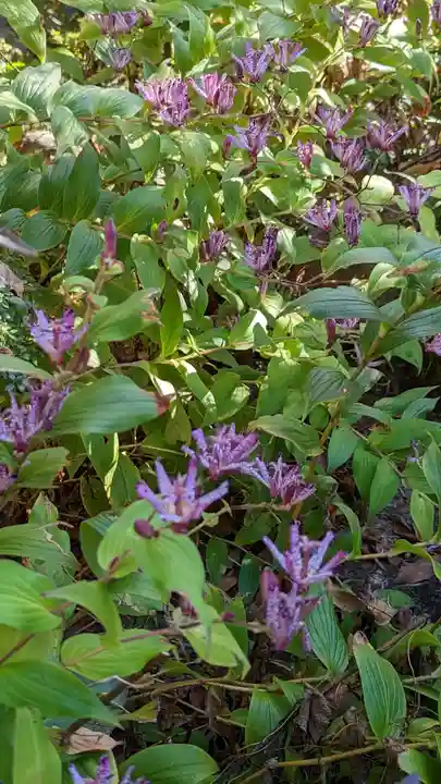 長岡天満宮(京都府)