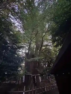 大國魂神社(東京都)