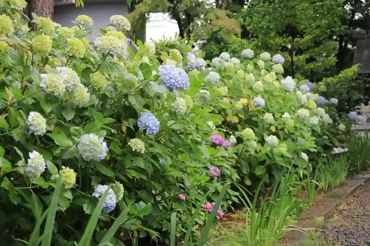 開成山大神宮の庭園