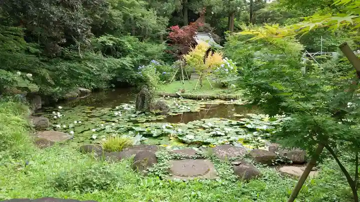 本土寺(千葉県)