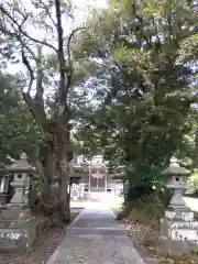 山王宮日吉神社(福井県)