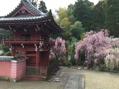 當麻寺(奈良県)