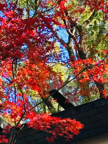 田無神社の庭園